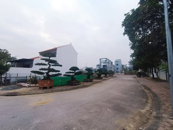 Đất nền Vinh 133m² giá chỉ 4 tỷ - Khu vực xây dựng mới hấp dẫn!