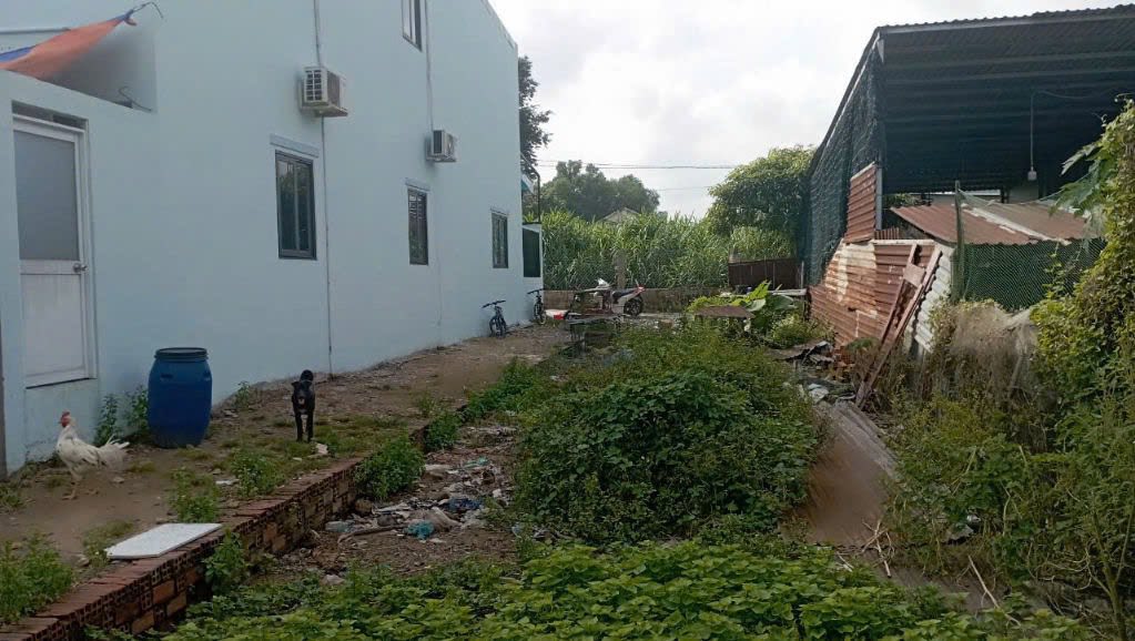 Đất nền Tân Hiệp Hóc Môn 100m² giá 2.2 tỷ - Đầu tư sinh lời ngay!