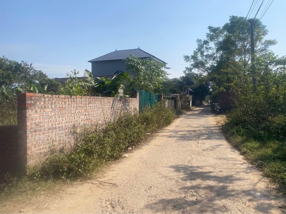 Đất nền Hợp Châu Tam Đảo 770m² mặt tiền 20m - Cơ hội đầu tư sinh lời!