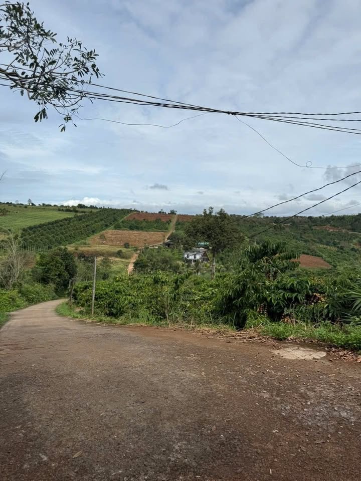 Đất nền Kiến Đức 320m² giá 500 triệu - Sổ đỏ chính chủ