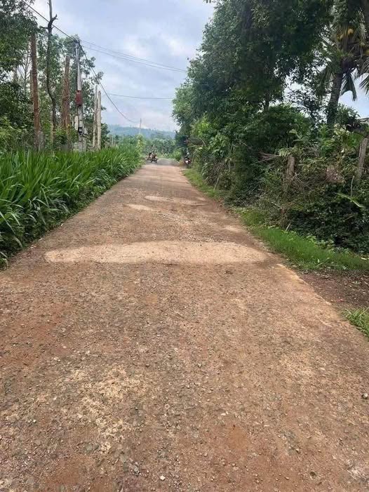 Đất sào 4 sào tại Ea Tiêu, Cư Kuin - Giá chỉ 1.9 tỷ, cơ hội đầu tư tuyệt vời!