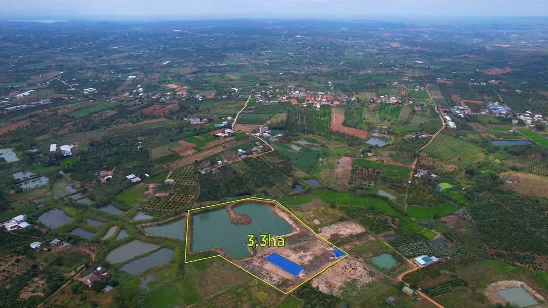 Trang trại cá và heo xã Xuân Phú 3,3ha giá 4.7 tỷ - Đầu tư sinh lời ngay!