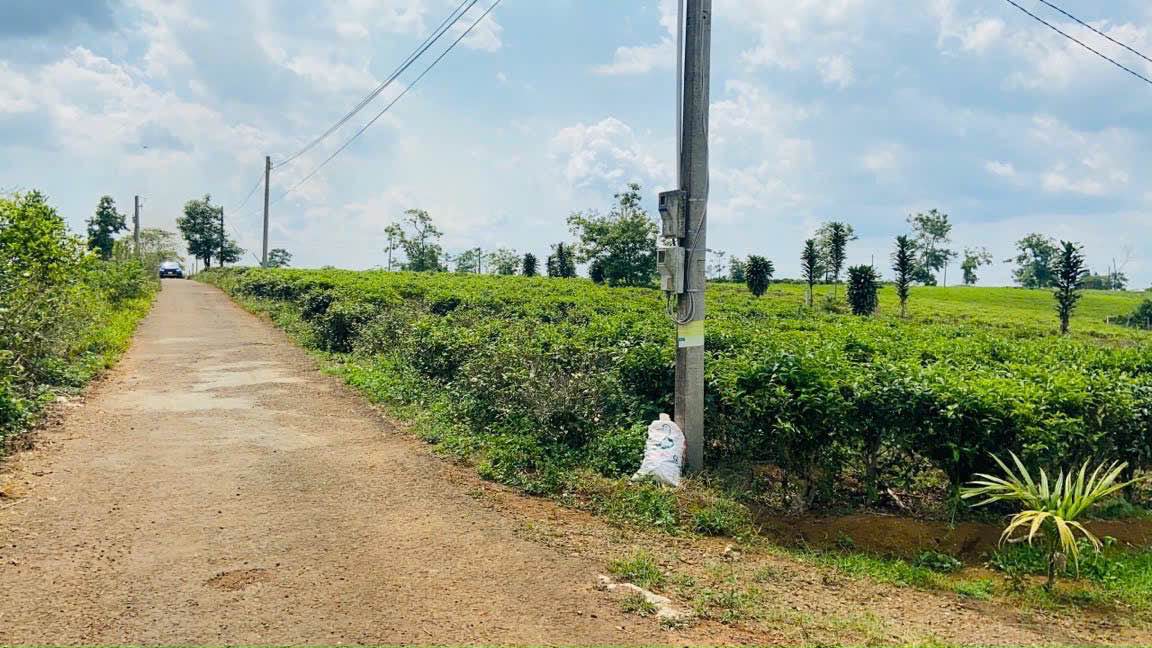 Đất Lộc An, Bảo Lâm, 120m² giá 1.62 tỷ - Cơ hội đầu tư hấp dẫn!