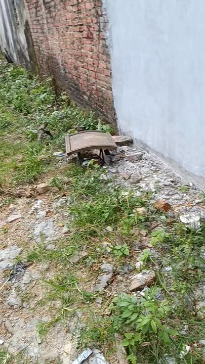 Đất nền Khu tái định cư Ninh Liệt 528m² giá 22 triệu - Cơ hội đầu tư tuyệt vời!