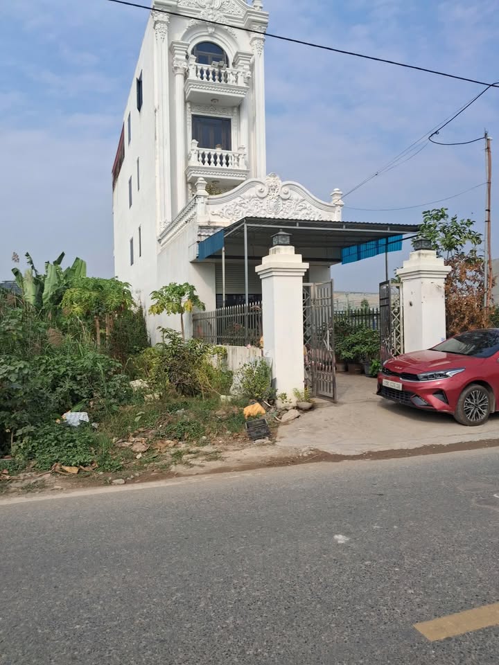 Đất nền 250m² mặt đường 203, xã Lâm Động, Thủy Nguyên - Cơ hội đầu tư hấp dẫn!