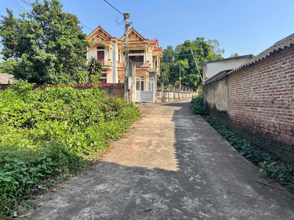 Đất nền Ngọc Châu, Tân Yên 200m² - Giá thỏa thuận hấp dẫn!