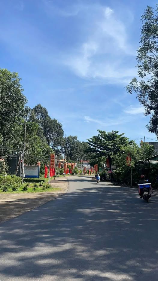 Đất thổ cư mặt tiền đường Liên Huyện DH519, Phước Thành, 308m² giá 650 triệu - Cơ hội đầu tư vàng!