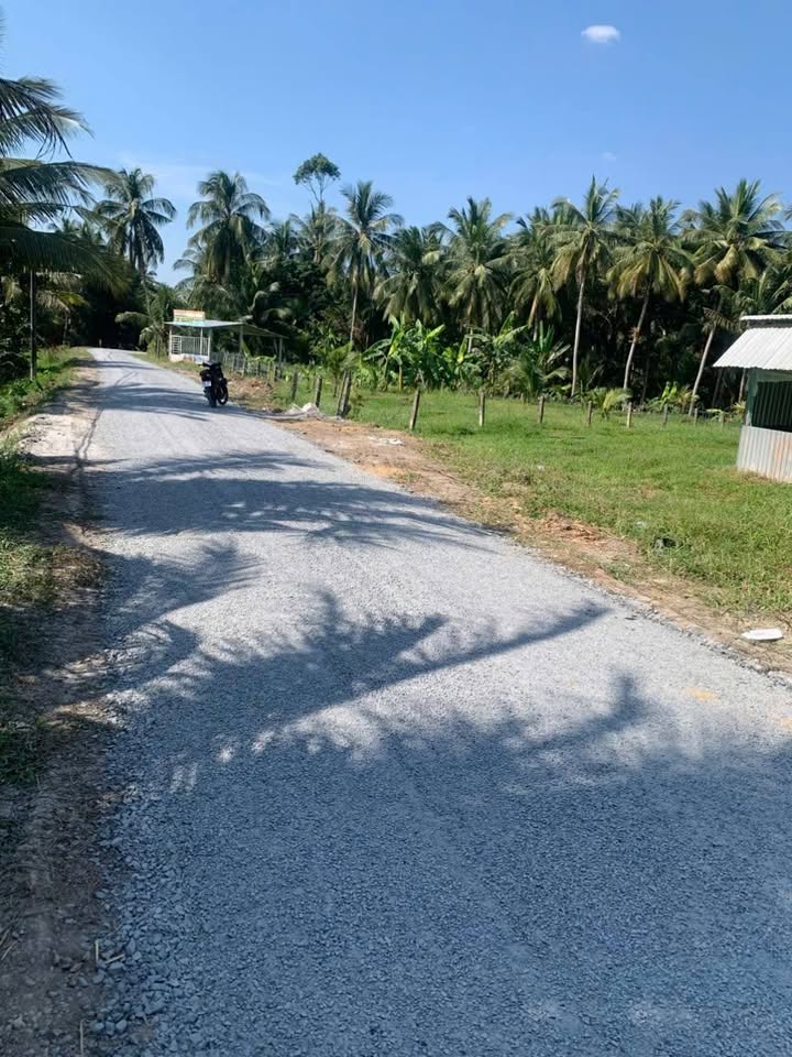 Đất nền ấp Phú Nông, Vũng Liêm 850m² - Đầu tư sinh lời ngay!