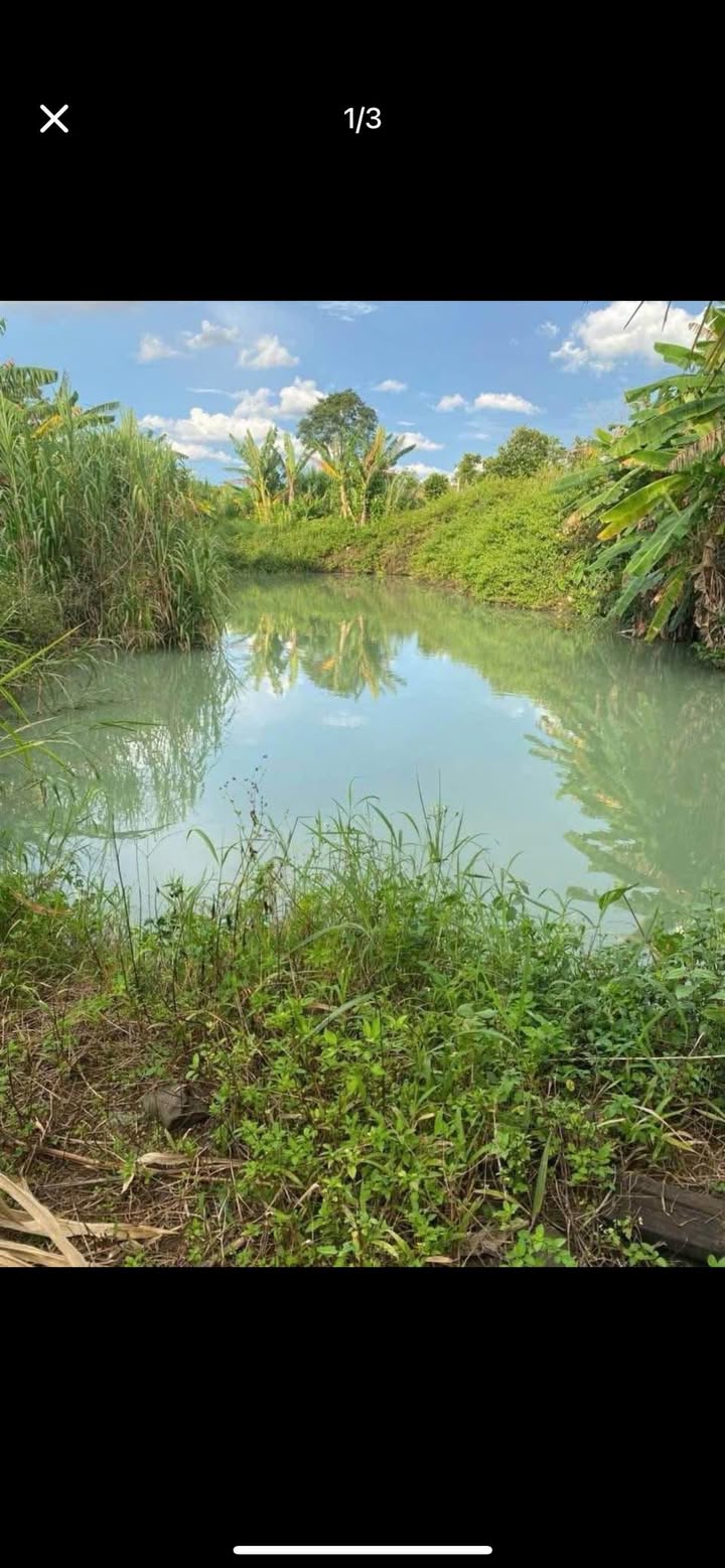 Đất nền Ea Knuếc Krông Pắc 1300m² chỉ 800 triệu - Cơ hội đầu tư tuyệt vời!