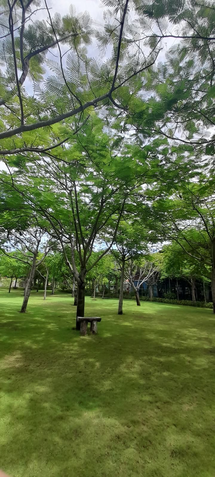 Đất thổ cư Km19 xã Ea Knuếc 1300m² giá 1.3 tỷ - Đường bê tông, khu dân cư đông đúc!