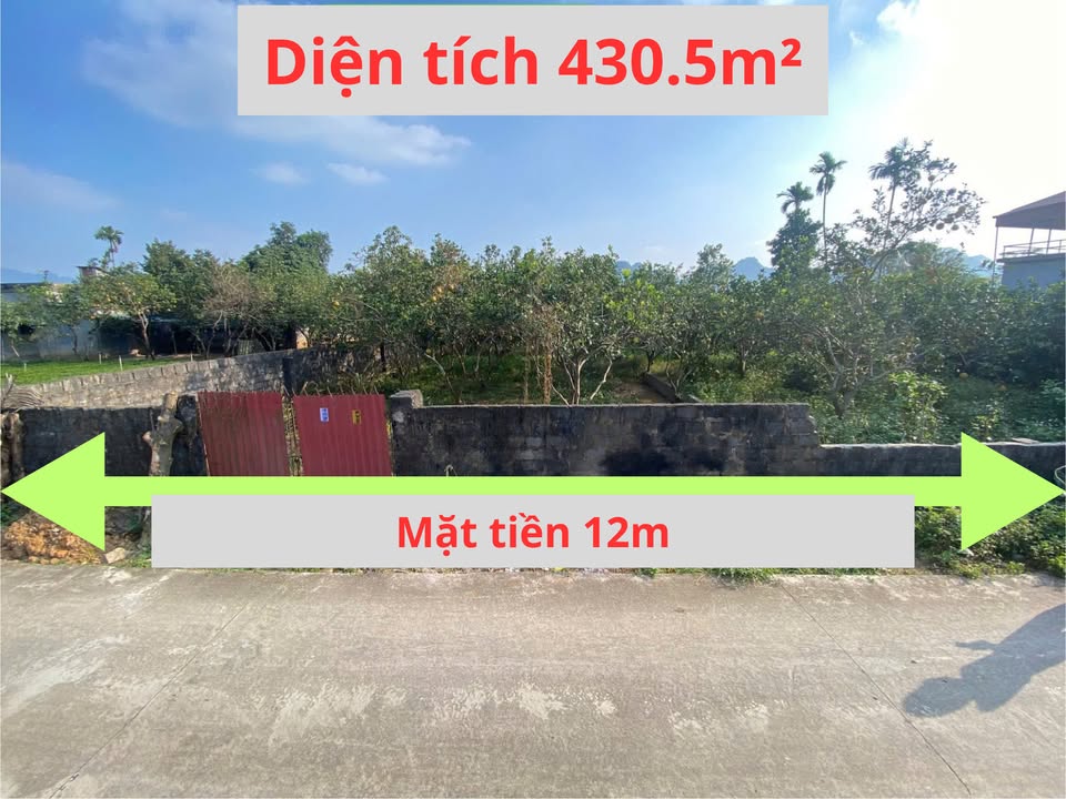 Đất nền thôn Lũ, xã Phú Thành 430.5m² - Sổ hồng chính chủ, giá thỏa thuận!