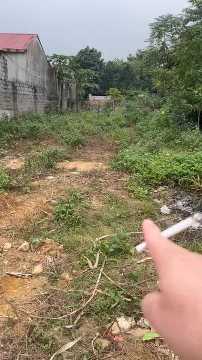 Đất nền Nhuận Trạch 312m² giá 3 tỷ - Đường thông thoáng, gần KCN!