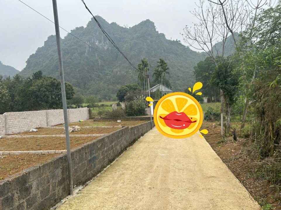 Đất thổ cư 73m² tại Cao Dương, Lương Sơn, Hòa Bình - Giá chỉ 400 triệu, đầu tư tốt!