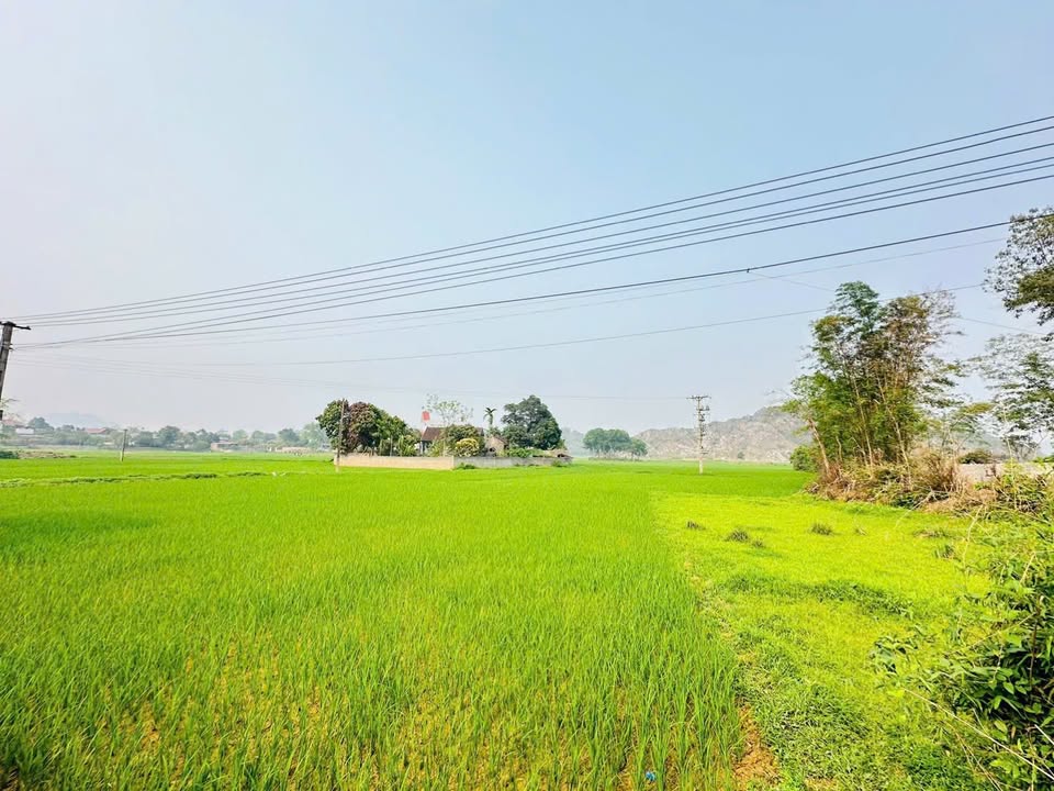 Đất nền Cao Dương, Lương Sơn, Hòa Bình 386m² - View cánh đồng núi đá tuyệt đẹp!