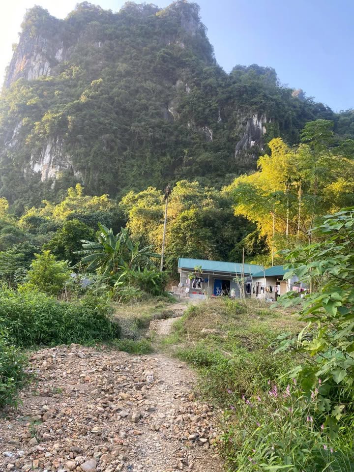 Đất thổ cư Lương Sơn, Phú Thọ 2000m² giá 1.2 tỷ - Cơ hội đầu tư tuyệt vời!