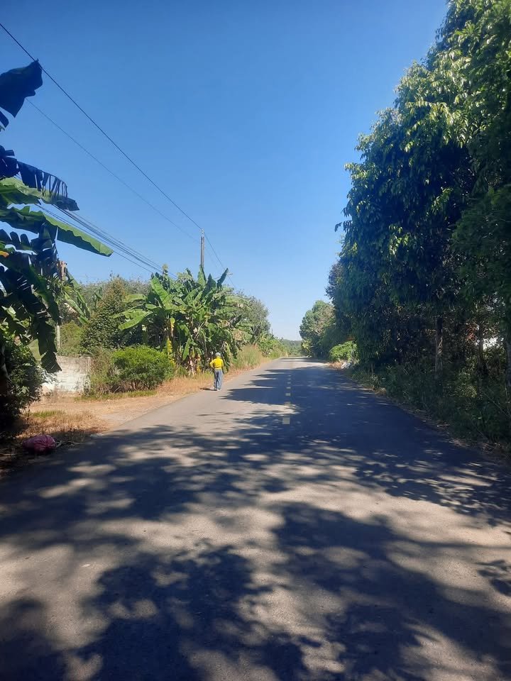 Đất thổ cư An Bình, Phú Giáo 350m² giá 1.36 tỷ - Vị trí đắc địa, dân cư đông đúc!