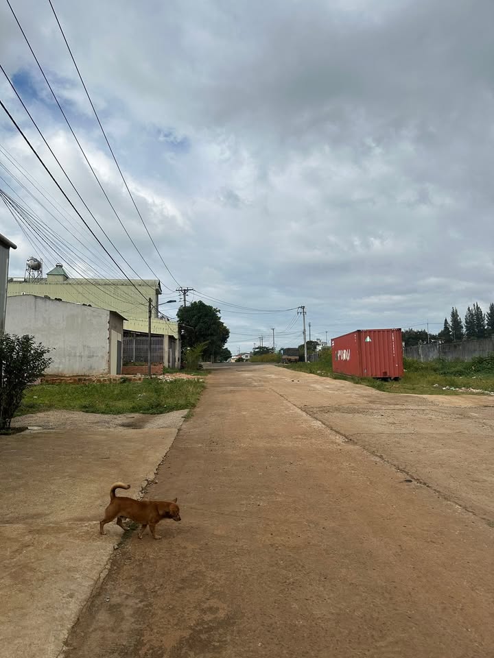 Bán nhà Hẻm 240 Nguyễn Chí Thanh, Pleiku 175m² - Vị trí thuận lợi, giá thỏa thuận!