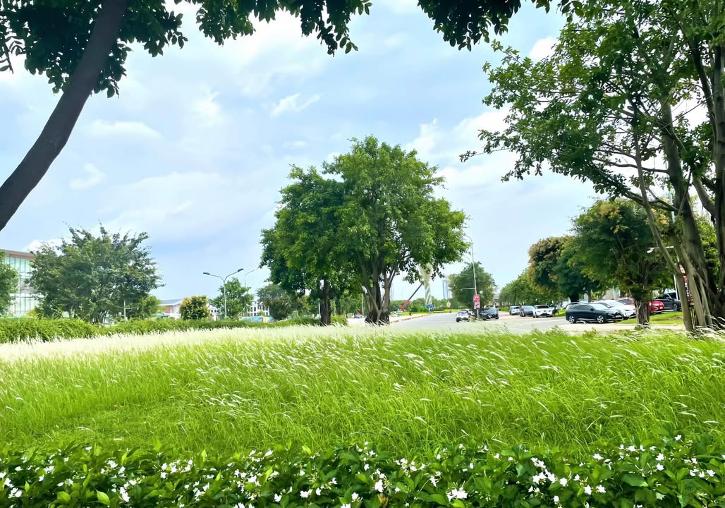 Đất nền Cổ Nhuế 96m² giá thỏa thuận - Kinh doanh sầm uất, ô tô qua cửa!