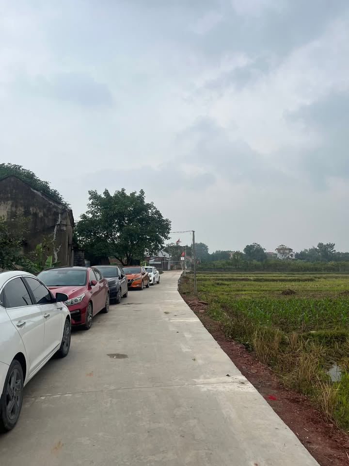 Đất nền Cao Xá, Tân Yên 100m² - Đầu tư hấp dẫn gần TL 295!