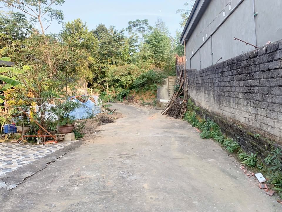 Đất nền khu phố 5 Vân Phú, 180m² giá chỉ 1 tỷ - Đường ô tô vào tận đất!