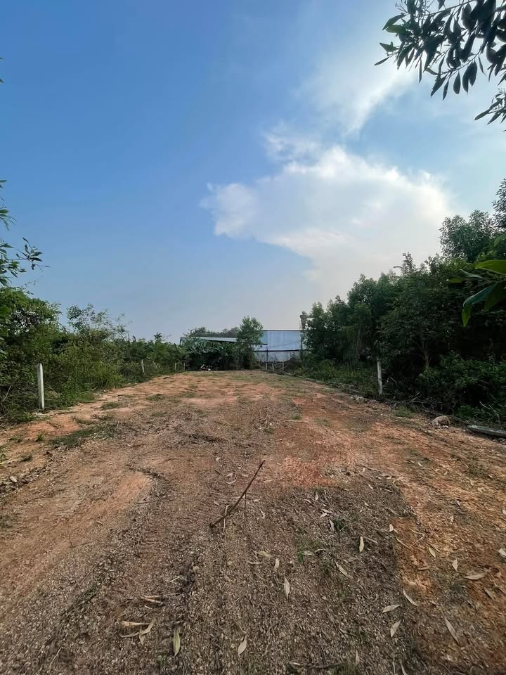 Đất nền Vĩnh Cửu 550m² chỉ 650 triệu - Sổ hồng riêng, vị trí thuận lợi!