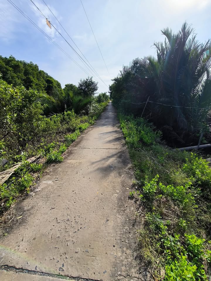 Đất nuôi trồng thủy sản 120000m² tại Duyên Hải - Đầu tư sinh lời tốt!