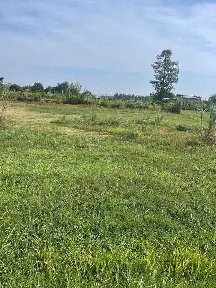 Đất nền mặt tiền đường nhựa Bau Sen 680m² giá 600 triệu - Sổ hồng chính chủ ngay!