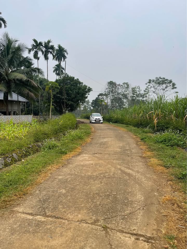 Đất nền Kiên Thọ, Ngọc Lặc 702m² giá 900 triệu - Cơ hội đầu tư tuyệt vời!