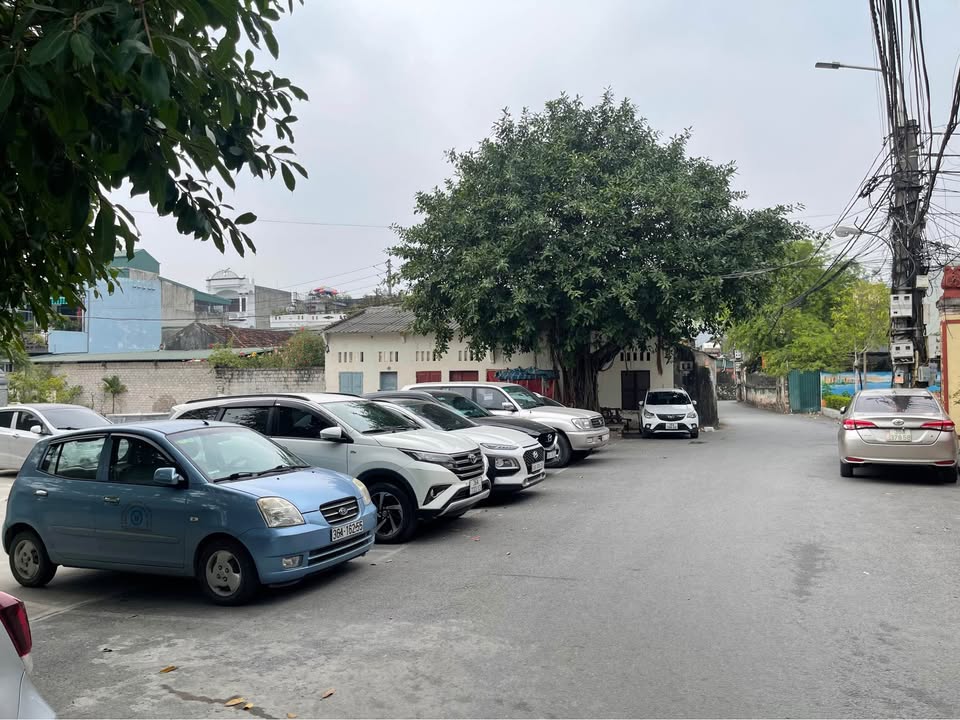 Đất nền chính chủ đường Lê Thần Tông, phường Đông Vệ, 71.7m² - Đầu tư sinh lời, giá tốt!