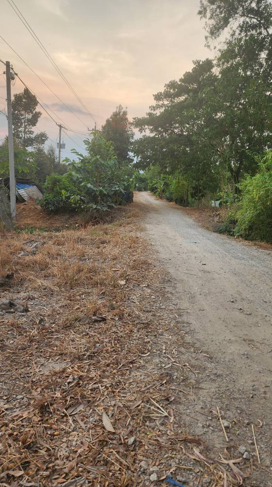 Đất nông nghiệp Tây Phú Thoại Sơn 60.000m² - Giá chỉ 840 triệu, cơ hội đầu tư hấp dẫn!