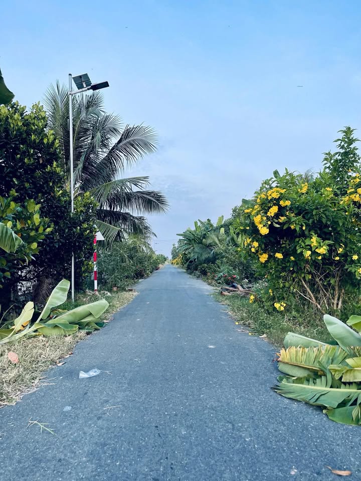 Đất nền 233m² tại ấp 1, xã Mỹ Thạnh Đông, Đức Huệ - Giá chỉ 600 triệu VND!