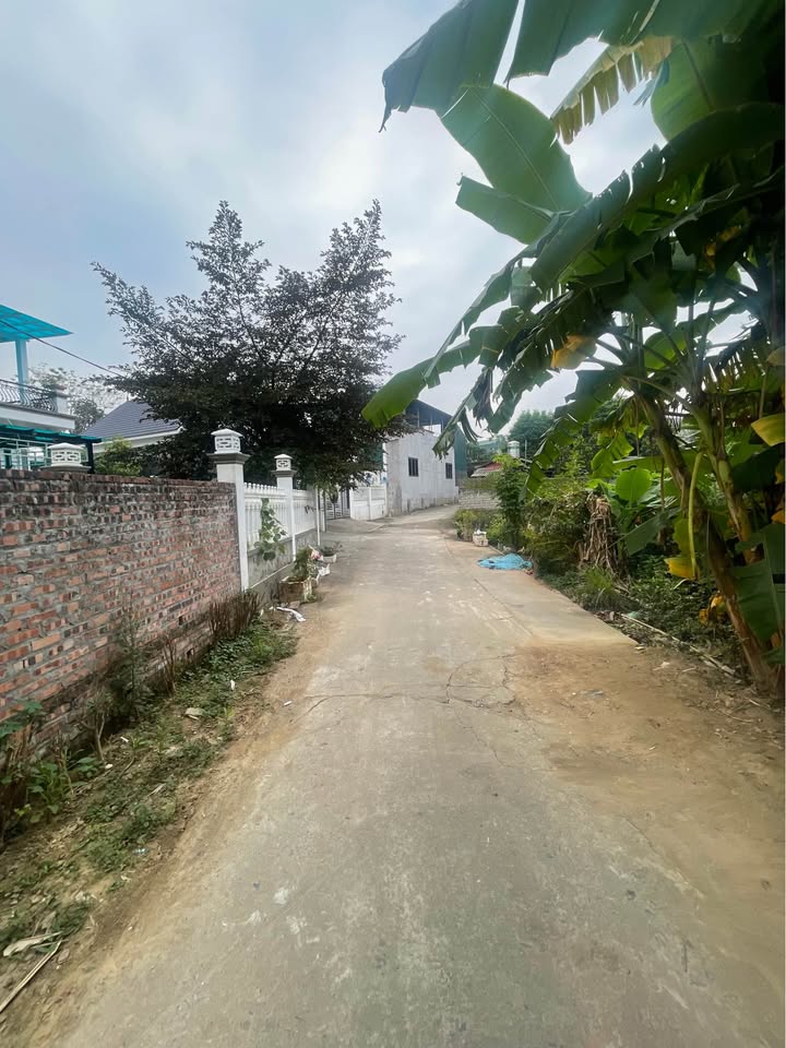 Đất nền Hoàng Xá, Thanh Thủy 111.8m² giá thỏa thuận - Cơ hội đầu tư tiềm năng!