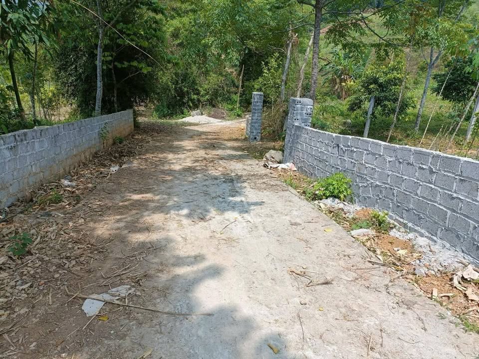 Đất nền Bắc Phong, Cao Phong 2000m² giá chỉ 1 tỷ - Cơ hội đầu tư tuyệt vời!