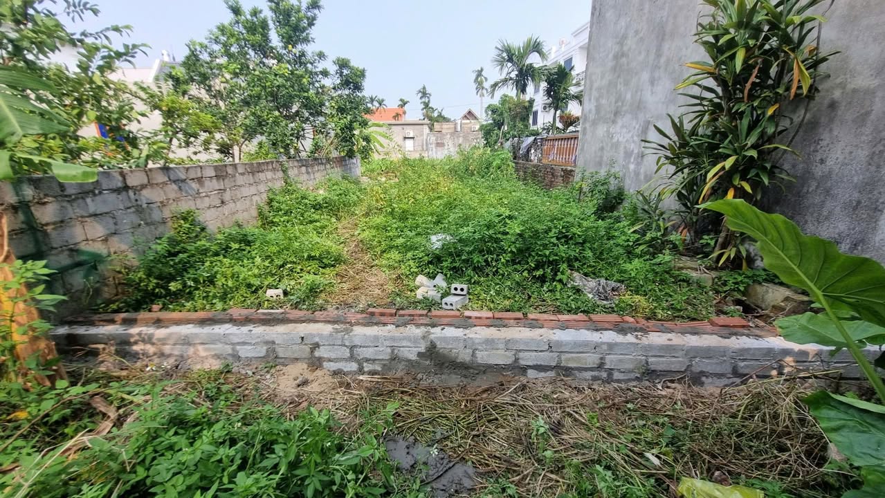 Đất nền Phù Liễn, Kiến An 80m² giá 1.9 tỷ - Sổ đỏ chính chủ!