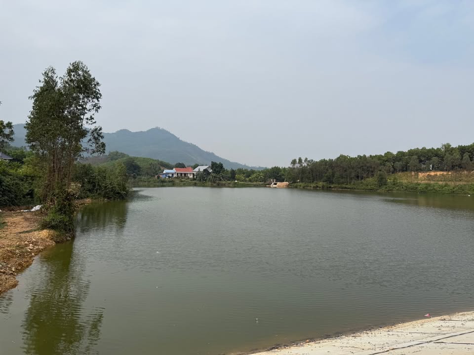 Đất Farm 3.000m² view hồ Long Vỹ, Thành Công, Phổ Yên - Đầu tư lý tưởng!