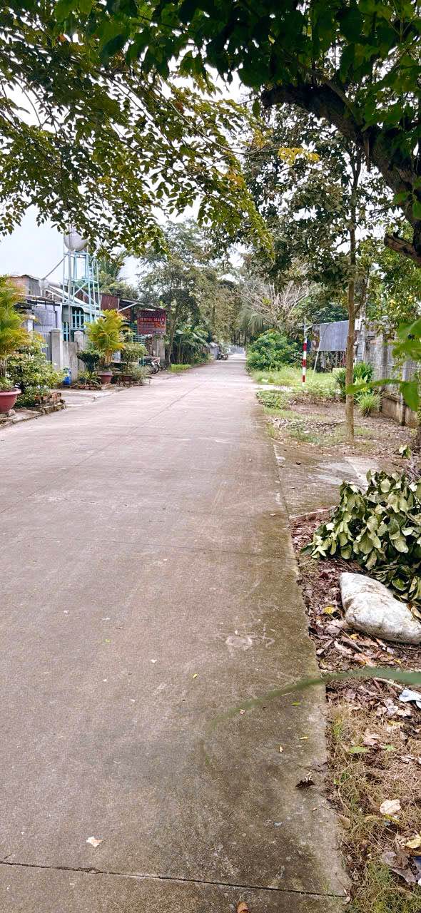 Đất thổ cư Dương Minh Châu 290m² giá 1.7 tỷ - Vị trí đắc địa gần trường DMC!