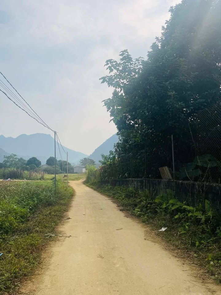 Đất nền Phong Quang 590m² giá 590 triệu - Cơ hội đầu tư tuyệt vời!