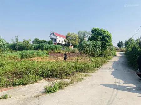 Đất thổ cư tại thôn Trại Hạ, xã Đồng Tiến, Yên Thế 163m² - Giá chỉ 1.3 tỷ!