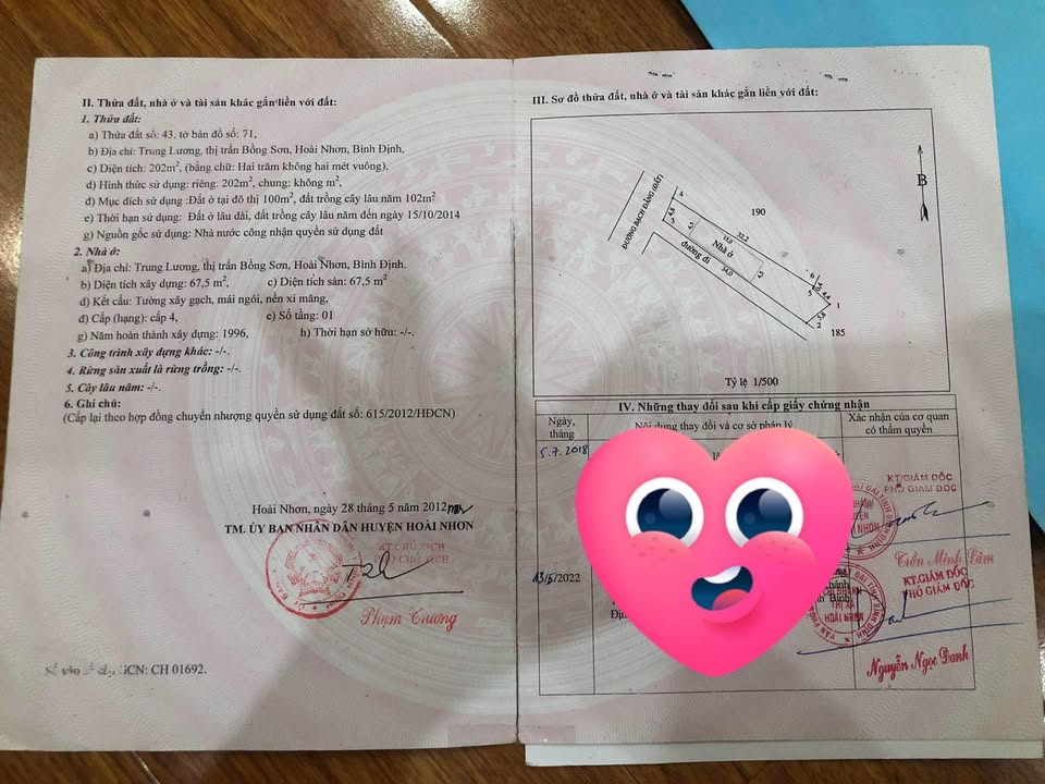 Đất nền Bồng Sơn 202m² giá 1 tỷ - Đầu tư sinh lời ngay!