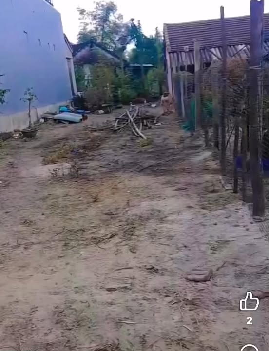 Đất Bình Phục 154m² giá 300 triệu - Bán gấp, gần Quốc Lộ 14E!