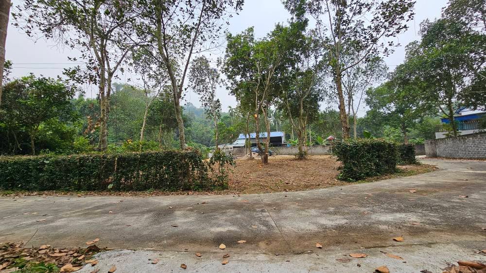 Đất nền Tân Vinh Lương Sơn 628m² giá thỏa thuận - Đầu tư lý tưởng cho ngôi nhà thứ hai!