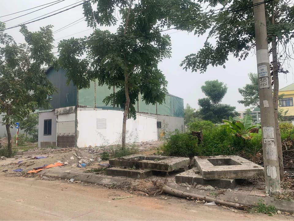 Đất liền kề Cầu Ngã, Hội Hợp, Vĩnh Yên 425m² giá chỉ 19.125 tỷ - Tiềm năng sinh lời ngay!