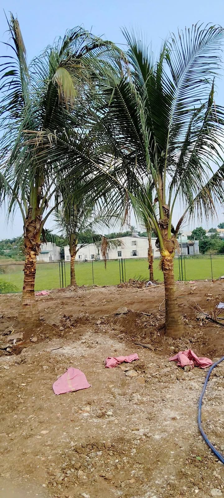 Đất nghỉ dưỡng 438m² Bảo Vinh, Long Khánh - Vị trí đẹp, giá 2.35 tỷ