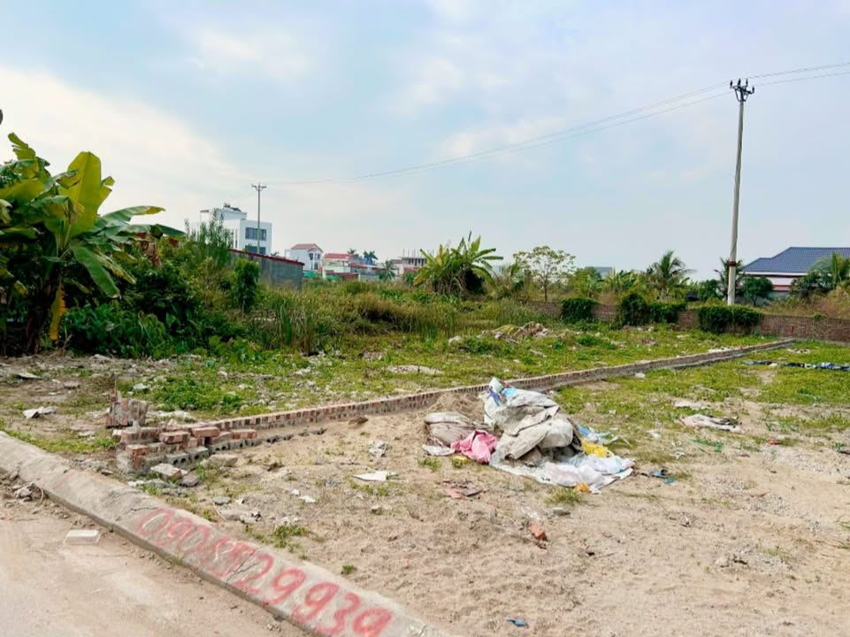 Đất nền Đồ Sơn, Hải Phòng 178,5m² giá 3,1 tỷ - Gần chợ Quý Kim!