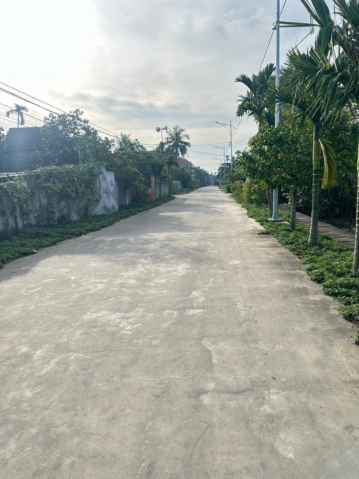 Đất nền Chấn Hưng, Tiên Lãng 81.081m² chỉ 350 triệu - Cơ hội đầu tư hấp dẫn!