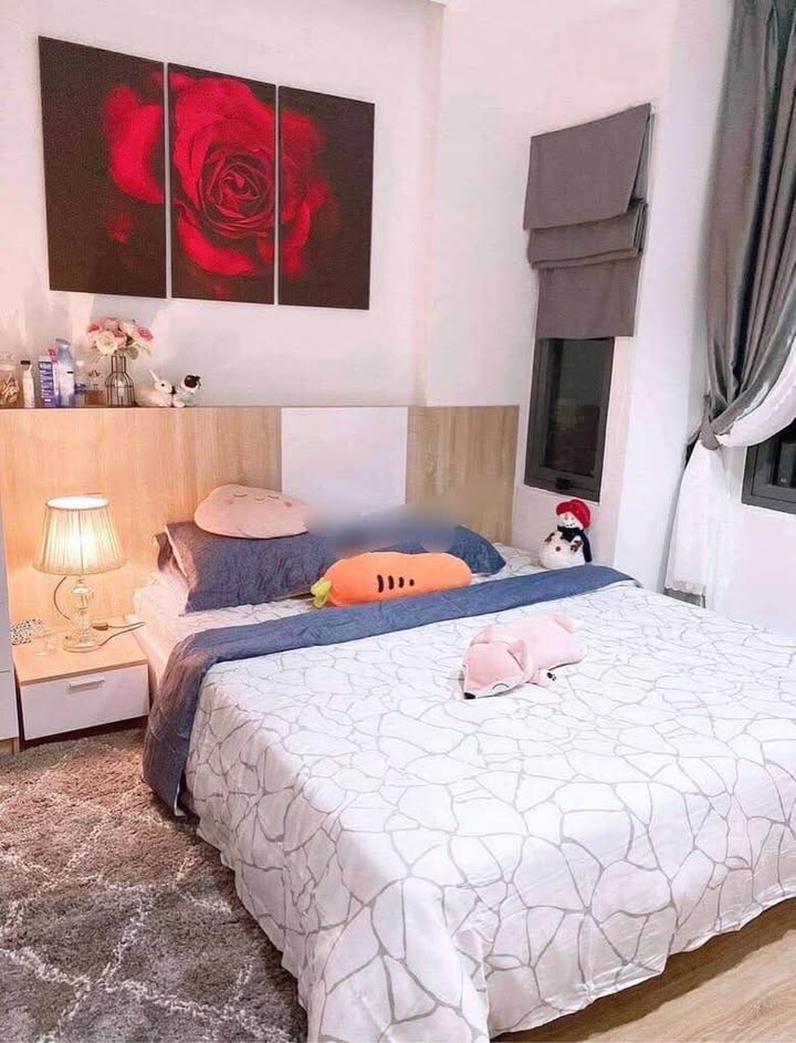 Nhà nguyên căn cho thuê đường Thái Thị Bôi, Thanh Khê Đà Nẵng 128m² - Đầy đủ nội thất, giá chỉ 8.5 triệu!