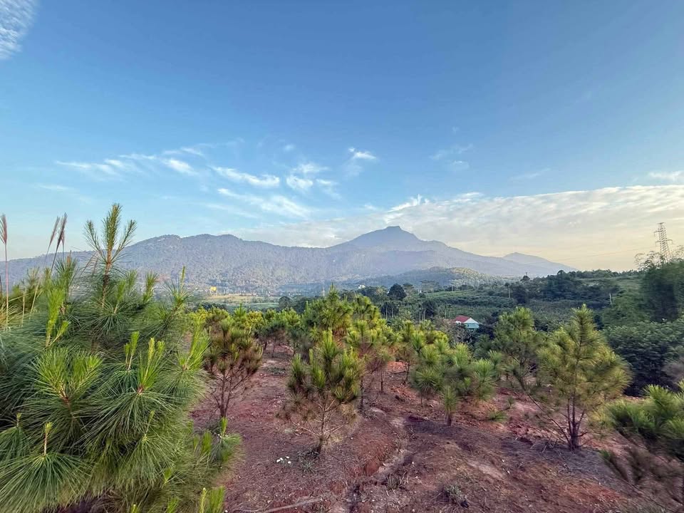 Đất nền Minh Quang Ba Vì 3600m² giá 7.2 tỷ - Cơ hội đầu tư tuyệt vời!