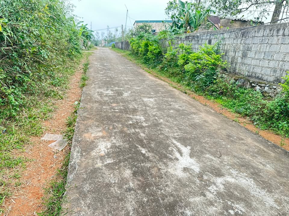 Đất Kỳ Đồng Thanh Khê 320m² giá 700 triệu - Cơ hội đầu tư hấp dẫn!