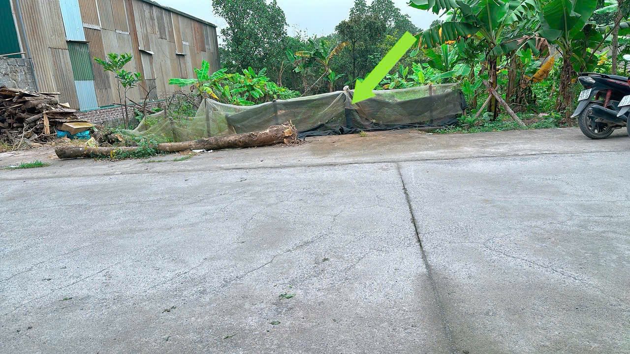 Đất thổ cư Hồng Phong, Chương Mỹ 99m² giá chỉ 2 tỷ - Nhanh tay sở hữu!