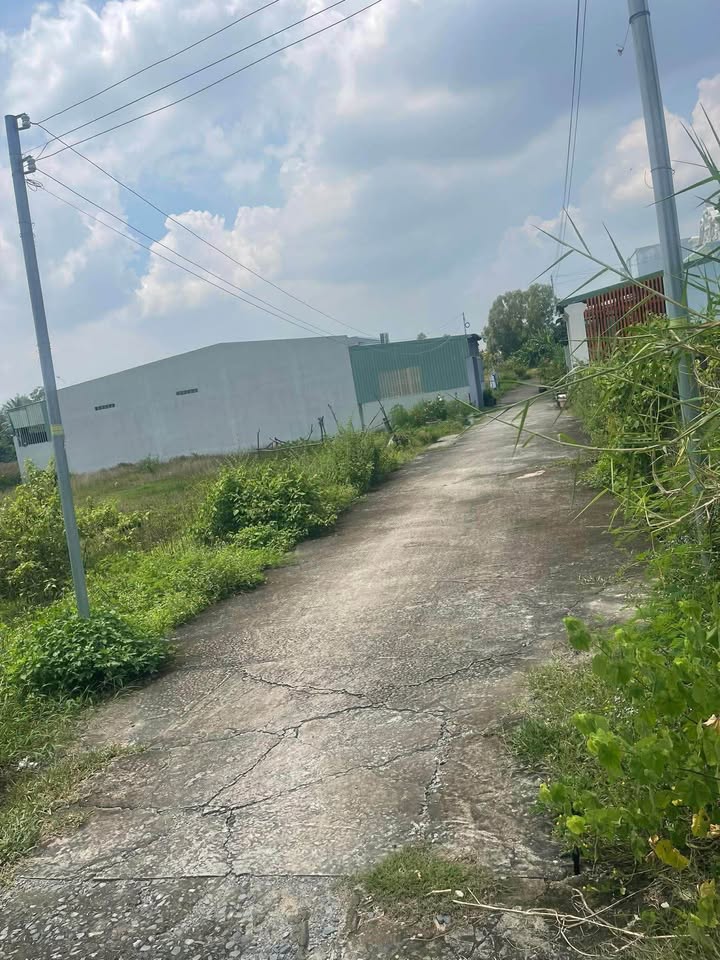 Đất nền khu dân cư Bình Tâm 115m² giá 700 triệu - Cơ hội đầu tư sinh lời!